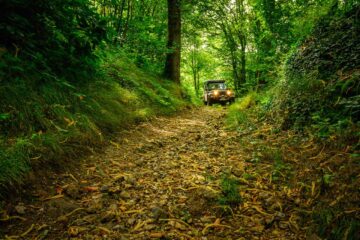 Petit chemin pendant la balade 4x4 autour de Chartres.
