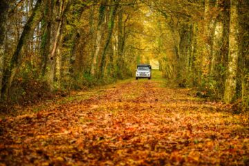 La Sologne, pendant la randonn&eacute;e 4x4