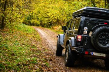 Pendant le voyage 4x4 en Sologne et dans la r&eacute;gion de la Loire