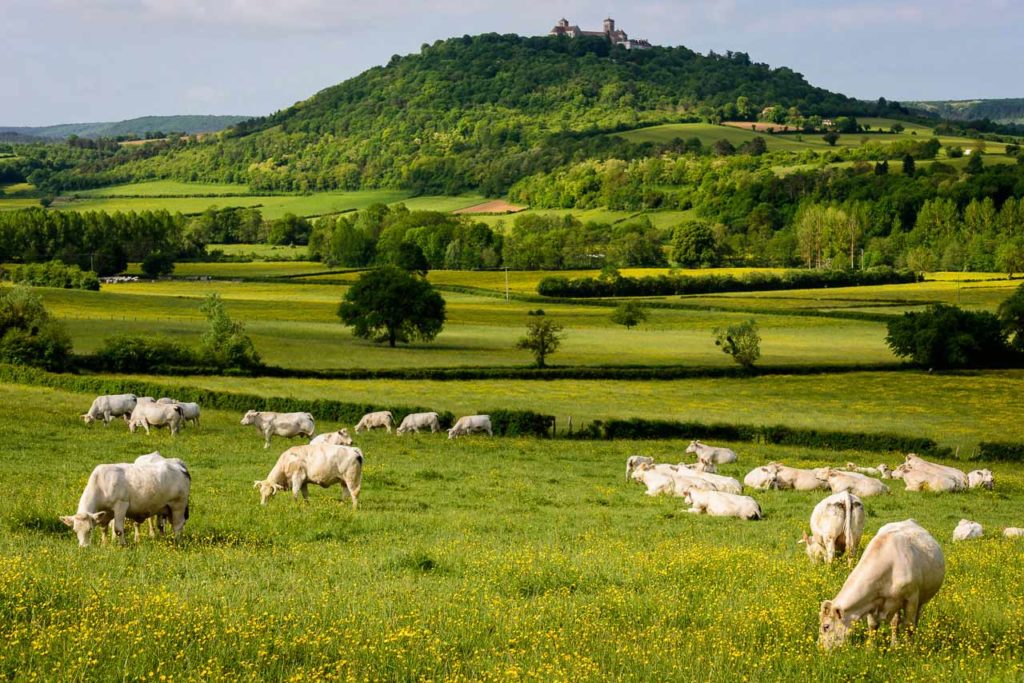 Landschap rond Vézelay, op de 4x4 tocht door Bourgogne