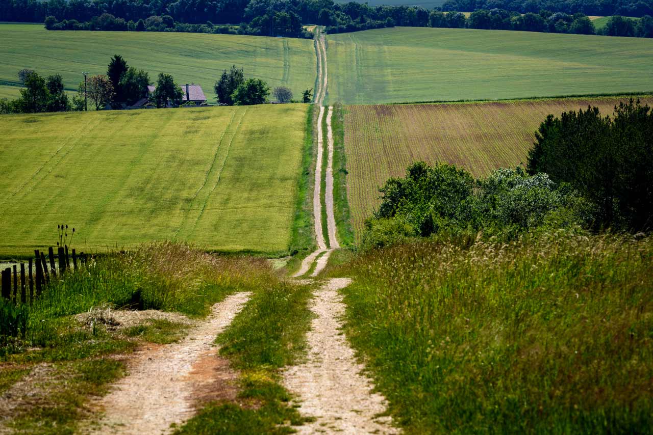 Kaarsrechte 4x4 wegen tussen de velden in de omgeving van Noyers in Bourgogne
