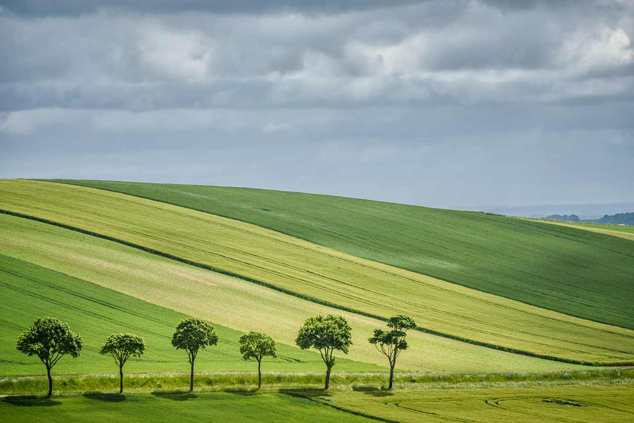 Landschap met 50 tinten groen, op de 4x4 tocht door Yonne (Villlechétive)