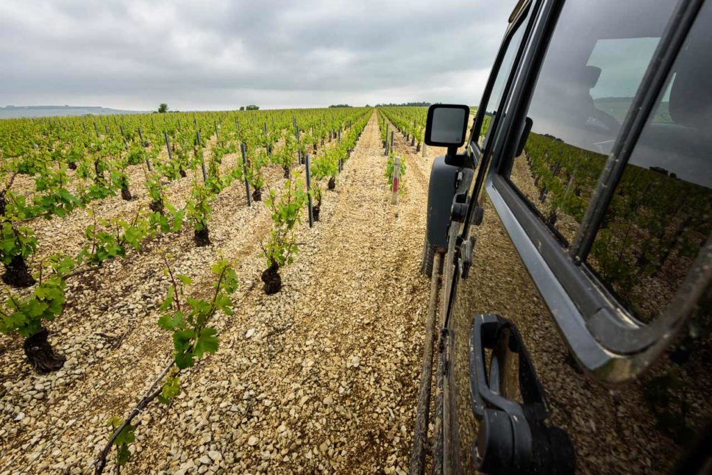 De wijngaarden van Chablis, op de 4x4 vakantie in Bourgogne