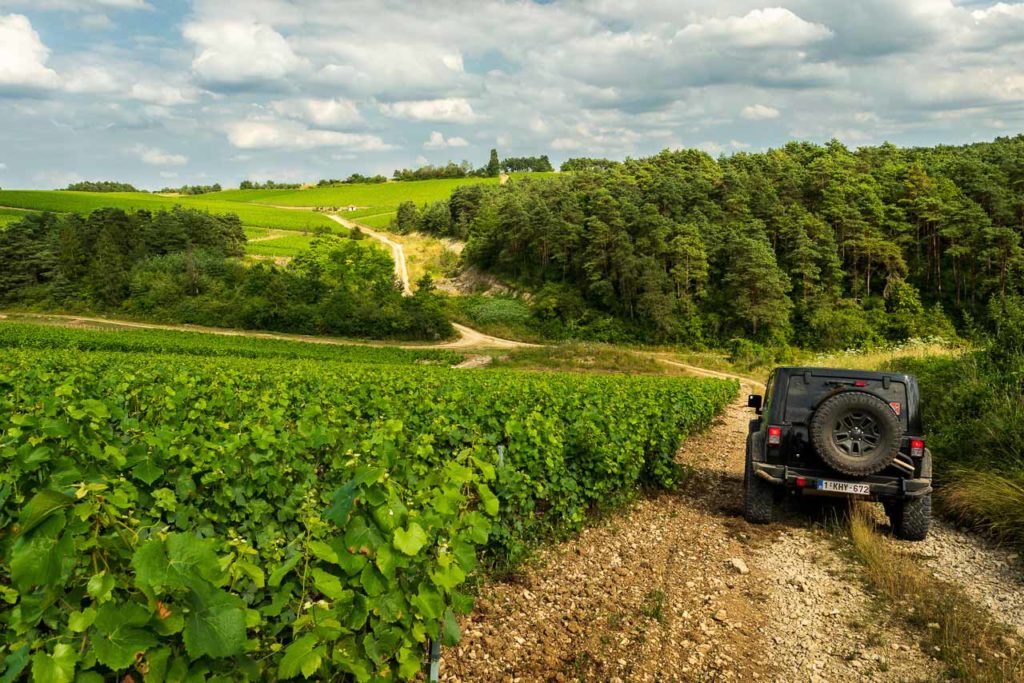 Je 4×4 vakantie gaat door de wijngaarden van Bourgogne en de Champagne