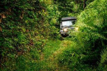In het bos op de 4×4 reis in departement Eure-et-Loir