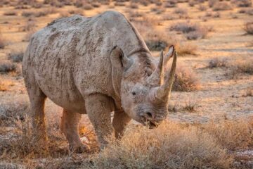 4×4-reis-namibie-kaokoland-0016