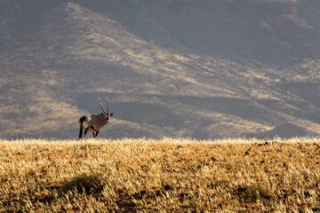 4×4-reis-namibie-kaokoland-0091