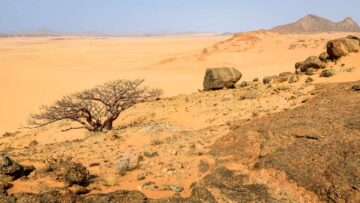 4×4-reis-namibie-kaokoland-0095
