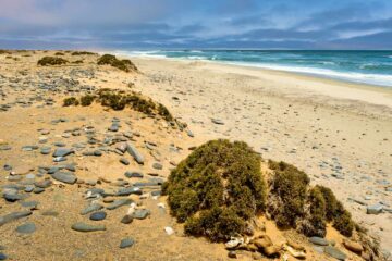 4×4-reis-namibie-kaokoland-0140