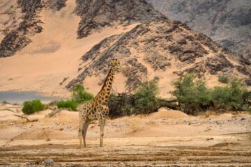 4×4-reis-namibie-kaokoland-0158