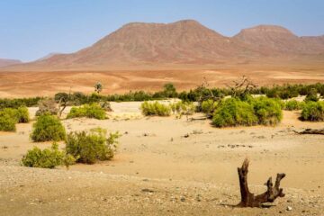 4×4-reis-namibie-kaokoland-0160
