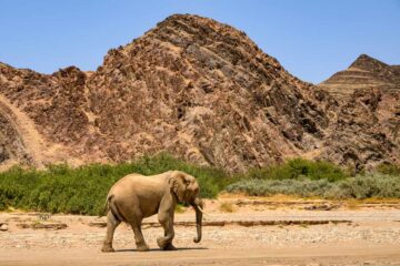 4×4-reis-namibie-kaokoland-0164