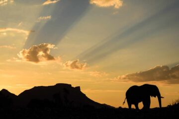 4×4-reis-namibie-kaokoland-0169