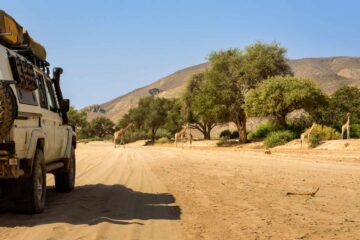 4×4-reis-namibie-kaokoland-0178