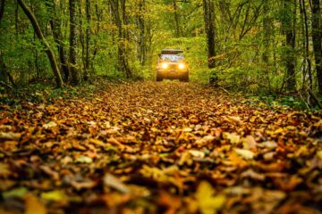 Bos bij Mouzon, tijdens 4×4-rit door het departement Ardennes