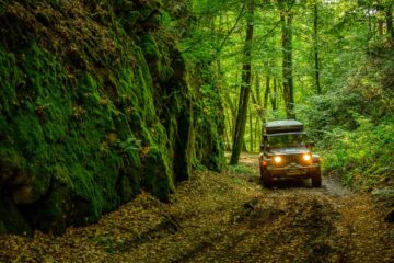 Bosweg op de 4x4-rit van Sedan naar Bohan in de Ardennen Bosweg op de 4x4-rit van Sedan naar Bohan in de Ardennen