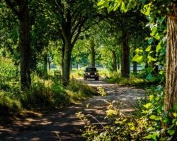 Tijdens de 4&times;4 ritten door Noord-Brabant in Nederland