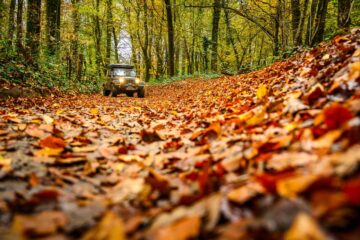 Tijdens het 4x4 roadbook in de Ardennen Tijdens het 4x4 roadbook in de Ardennen