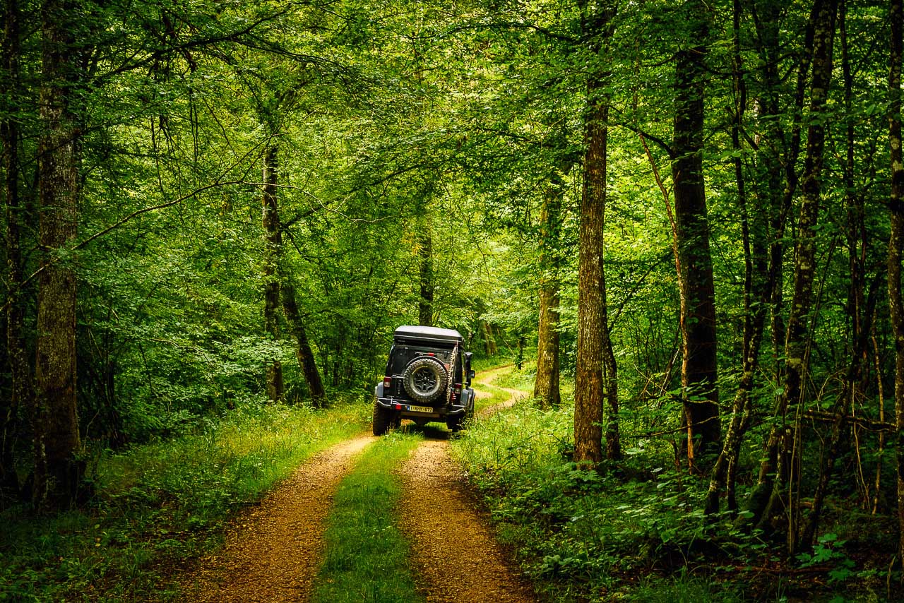 Rijden door het bos bij Rimaucourt tijdens dit 4×4-roadbook
