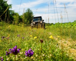 Rijden op een veldweg tussen Ruppes en Coussey, tijdens dit 4×4 roadbook Rijden op een veldweg tussen Ruppes en Coussey, tijdens dit 4×4 roadbook