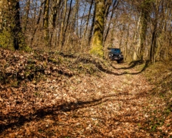 Een route door het bos tijdens deze 4&times;4 rit, omgeving Luxemburg