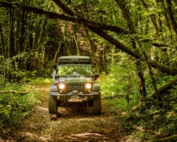 Route door bos van Pierrepont, tijdens deze 4&times;4 rit