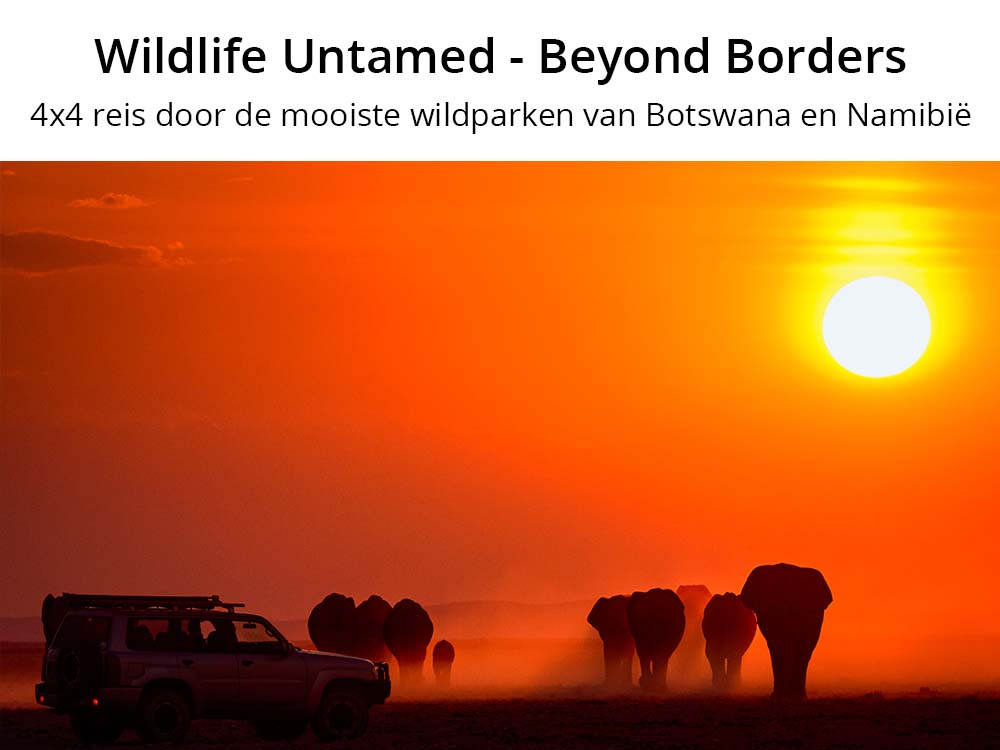 4x4 reis Botswana en Namibië wildlife