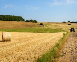 Greenlanen langs weidse vergezichten nabij Longwy