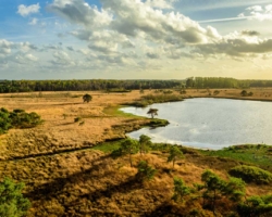 Landschap tijdens het greenlanen in Noord-Brabant, Nederland