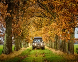 Bomenlaan tijdens greenlaning in regio Tilburg en Eindhoven