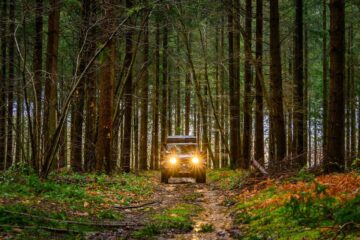 Bos tijdens het 4x4 off-road rijden in het departement Eure-et-Loir