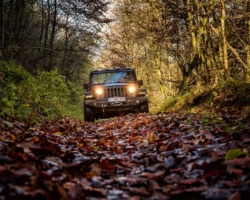 Bos bij Vannes-le-Châtel tijdens het rijden van de off-road route Bos bij Vannes-le-Châtel tijdens het rijden van de off-road route