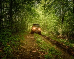 Route door bos rond Vaucouleurs tijdens deze off-road rit Route door bos rond Vaucouleurs tijdens deze off-road rit