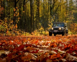 Terrein rijden met je 4&times;4 regio Tilburg Eindhoven